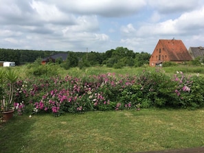 Situated in a lush green field, this charming farmhouse offers a serene countryside retreat.