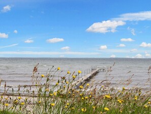 A coastal scene with a wooden pier extending into the sea, surrounded by yellow wildflowers and grasses. - 4 Star Holiday Home in Nordborg (Nordborg)