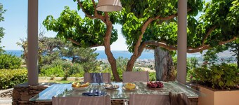 Montofoli Wine Estate