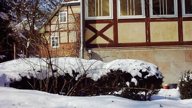 Eksteriør