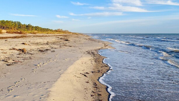 A beach with a sandy shore and waves. - 5 Person Holiday Home in Gedser (Gedser)