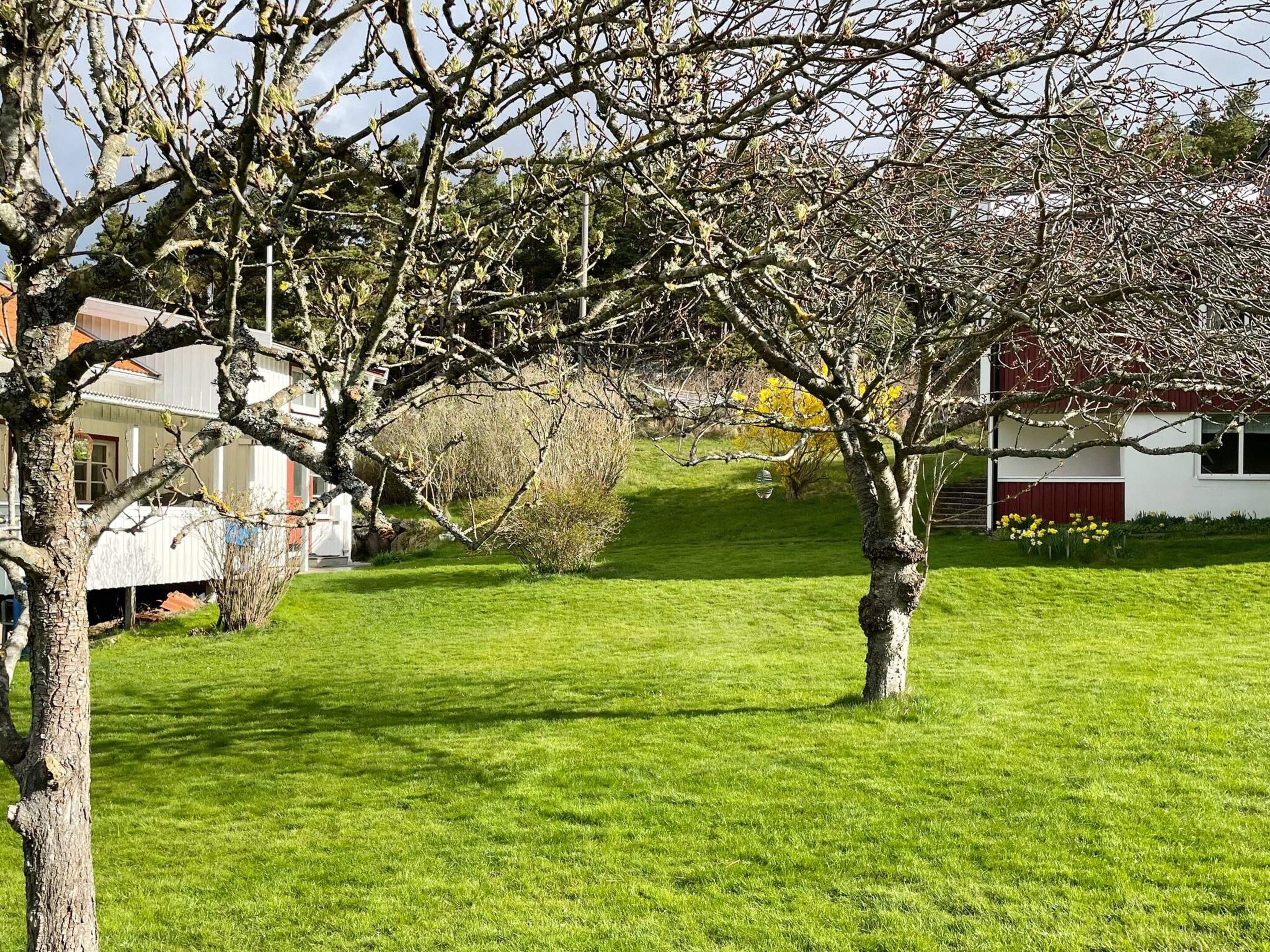 A grassy area with trees and a building with a red roof.