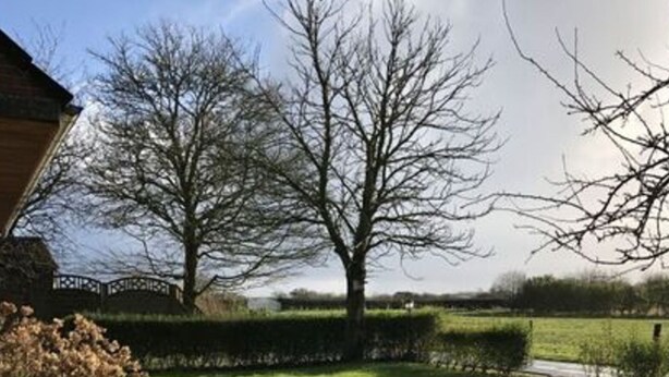 Une cour verdoyante, entourée d’une clôture en bois, d’une haie et d’arbres sans feuilles.