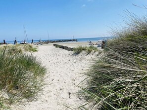 Um caminho de areia ladeado por grama, que leva ao mar.