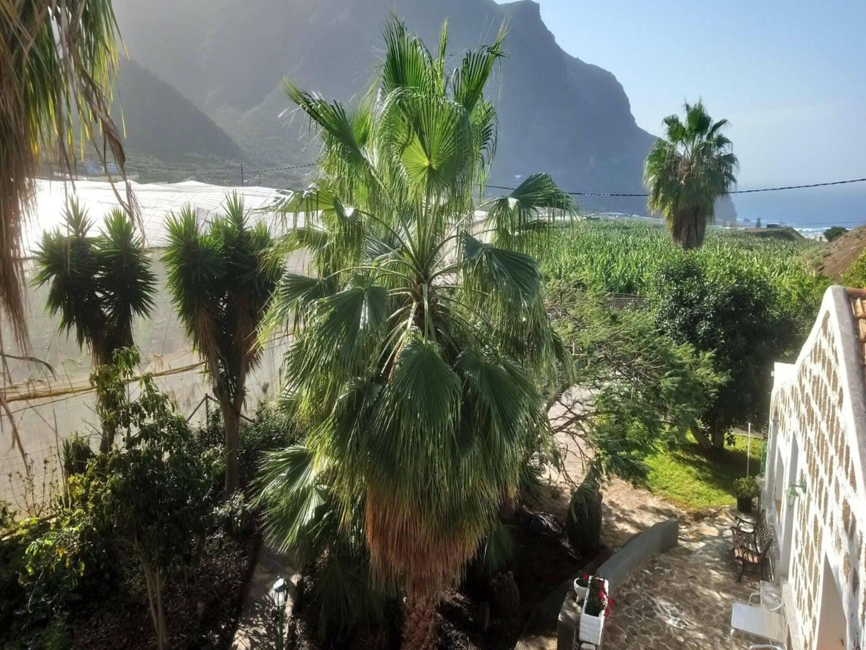 Apartment | View from property