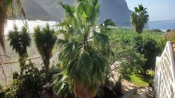 Apartment | View from property