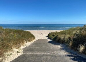 A paved pathway leading to a sandy beach with grass on either side.