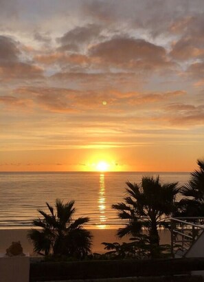 A sunset over the ocean with palm trees in the foreground. - Apartment in Sonnen (Pajara)