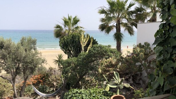 Vista de playa con palmeras, una hamaca y un jardín de cactus.