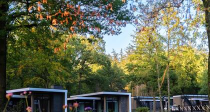 Comfortable Chalet With Combination Microwave Near the Veluwe