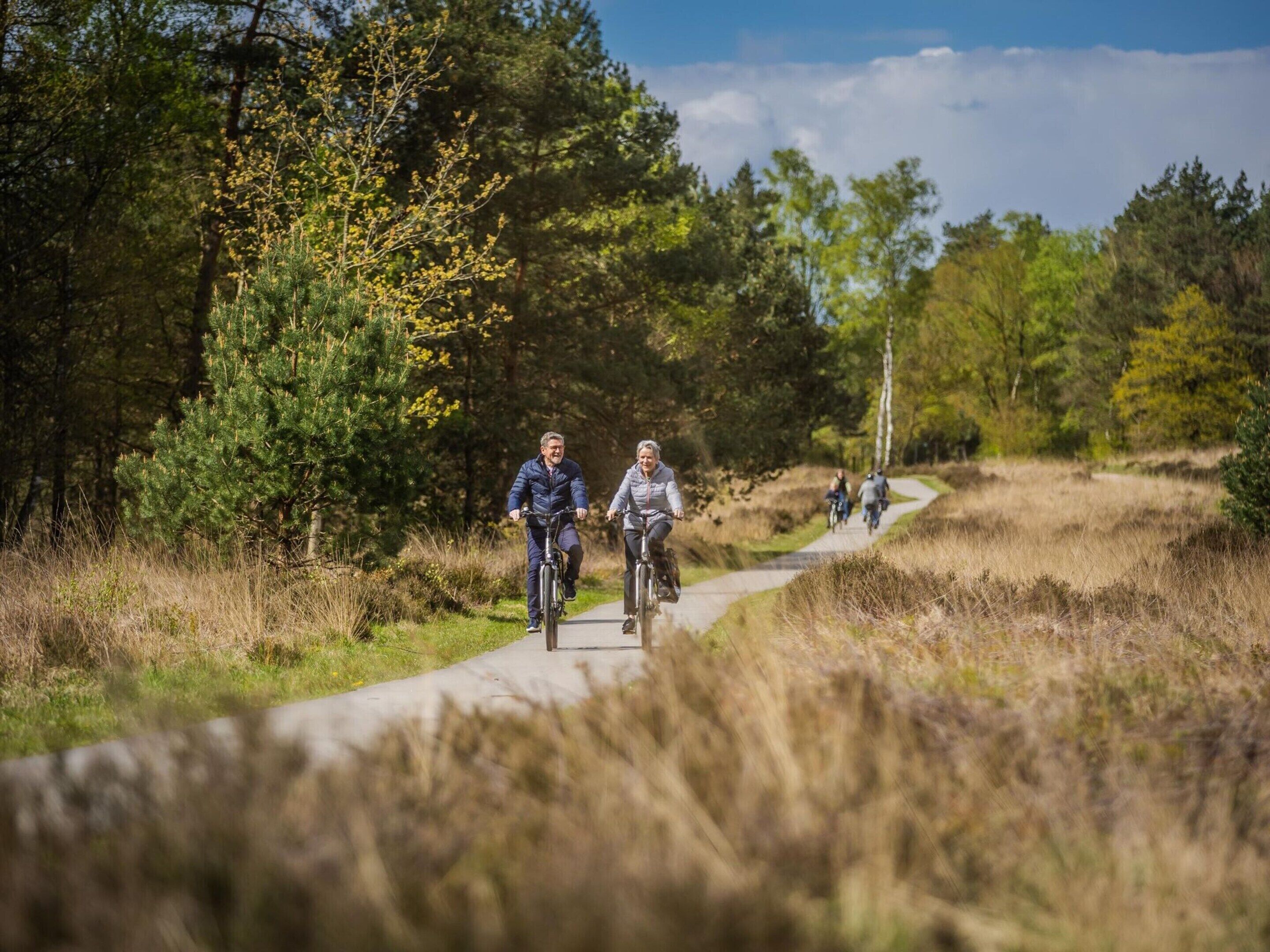 A paved path in a wooded area with cyclists.