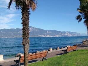 A coastal walkway with benches and a palm tree, overlooking a body of water and mountains. - Directly on the Lake - Casa San Benedetto (Peschiera del Garda)