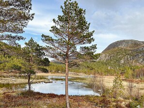 A natural landscape with a prominent pine tree in the foreground, a small pond, and a mountainous backdrop.