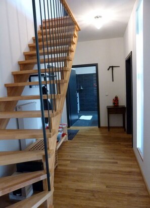 Interior - Toad 5 on the Soederbring (Waddeweitz)