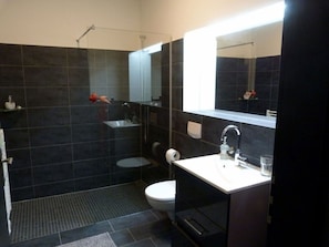 A modern bathroom with dark tiles, a glass shower enclosure, a white sink, and a toilet. - Toad 5 on the Soederbring (Waddeweitz)