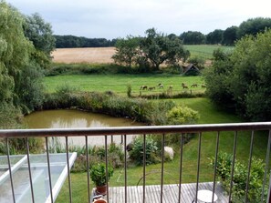 View from property - Toad 5 on the Soederbring (Waddeweitz)