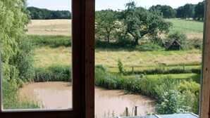 A view from a window overlooking a rural landscape with a pond, trees, and a small structure. - Toad 5 on the Soederbring (Waddeweitz)