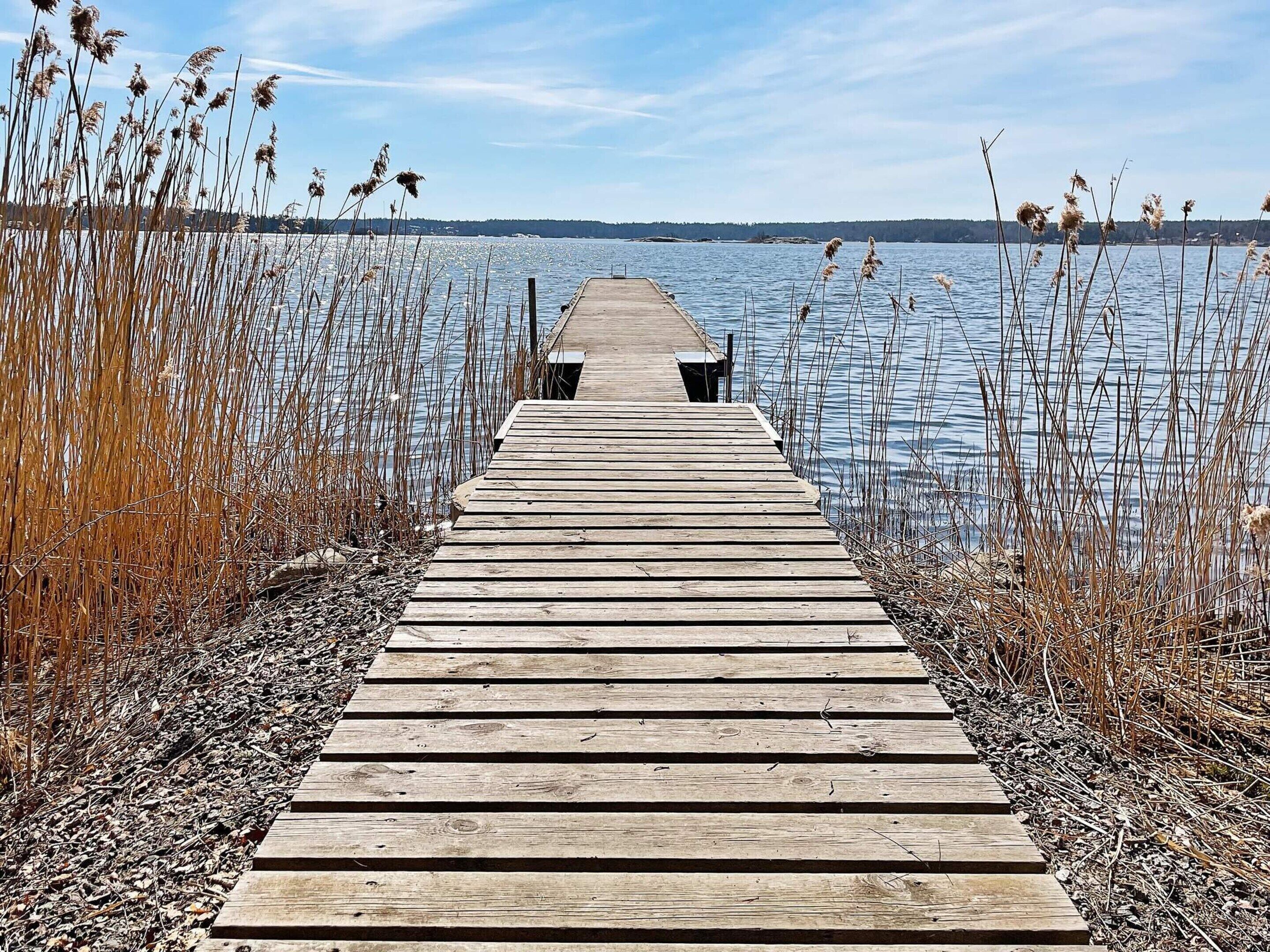 A wooden pier extending into a body of water, surrounded by tall grasses.