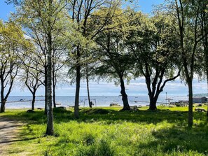 A pathway leading to a grassy area with trees and a view of the water. - 4 Star Holiday Home in Solvesborg (Sölvesborg)