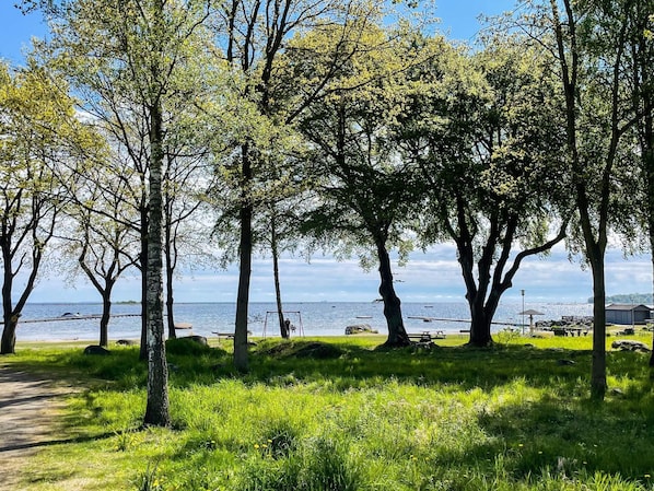 Ein Weg führt zu einer Wiese mit Bäumen und Blick auf das Wasser.