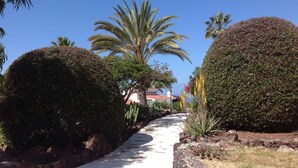 A paved pathway flanked by neatly trimmed hedges and palm trees, leading towards a building with a red-tiled roof. - Apartment The Little La Perla (Arona)
