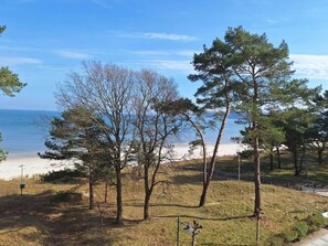 Eine Küstenlandschaft mit Bäumen, einem Strand und einem klaren Himmel.