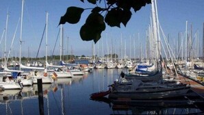 Un puerto deportivo con numerosos veleros amarrados en aguas tranquilas.