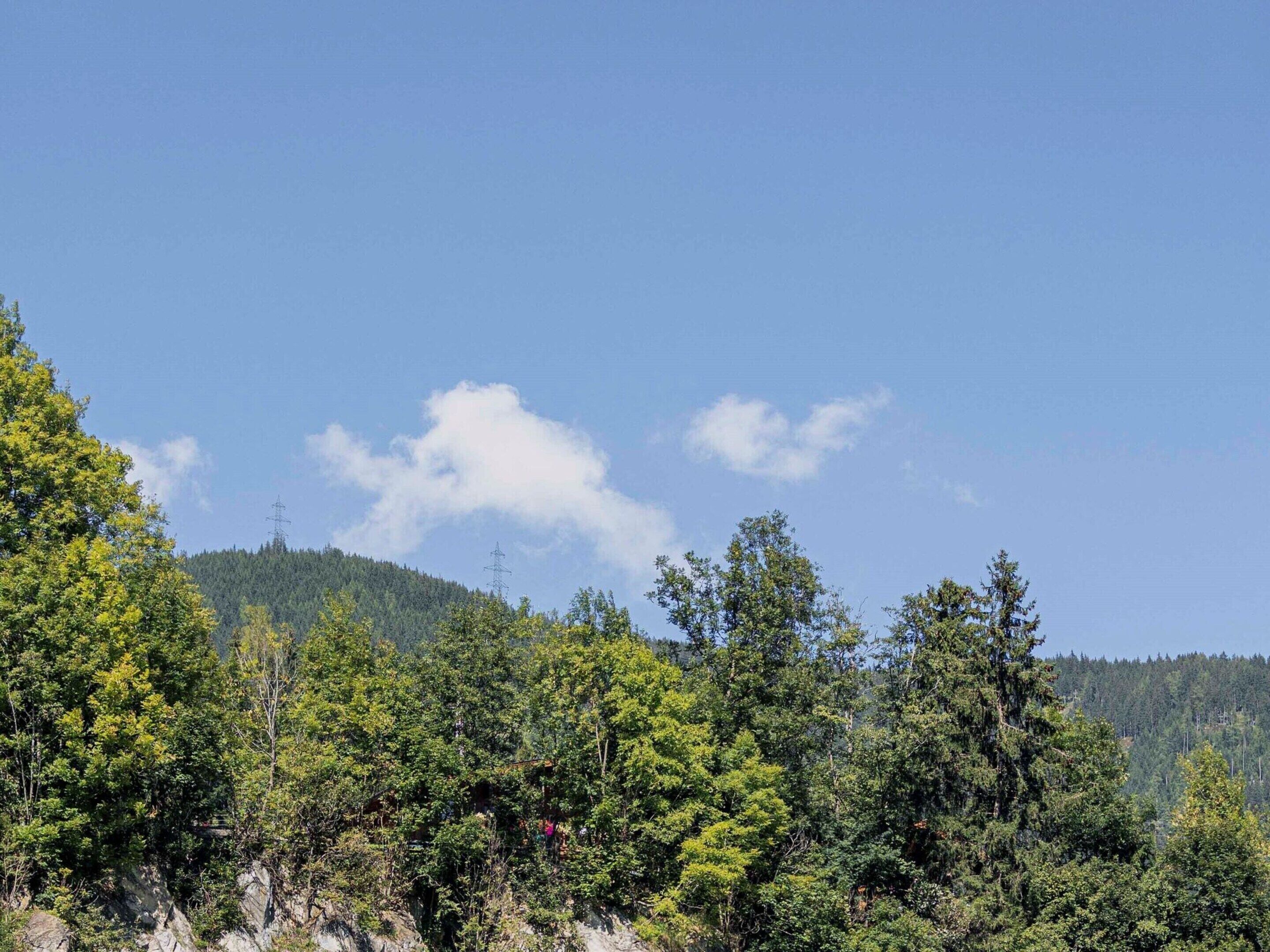 Eine bewaldete Landschaft unter blauem Himmel.