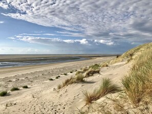 Une plage avec des dunes de sable et une végétation clairsemée.