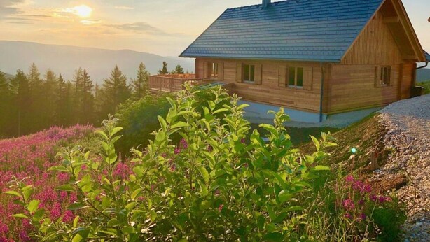 Eine Holzhütte mit geneigtem Dach, umgeben von üppigem Grün und blühenden Pflanzen.