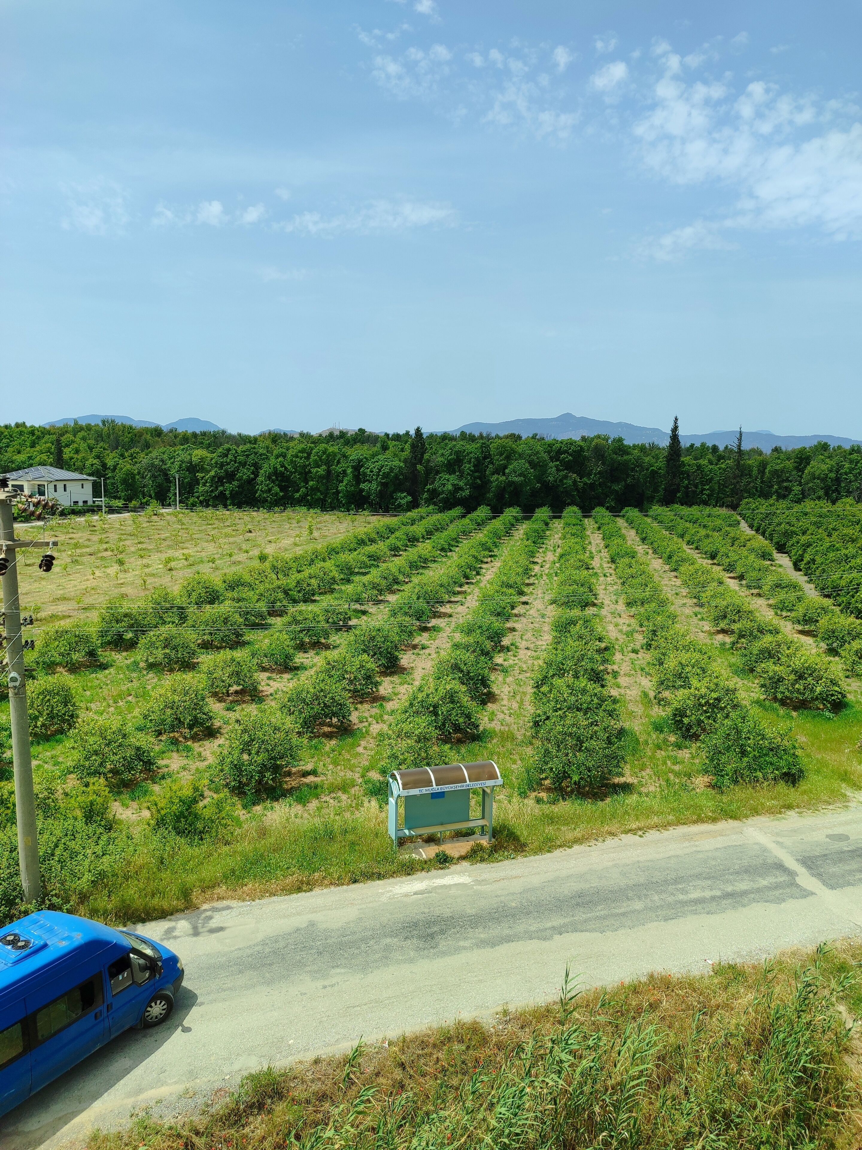 Foto - The Dalaman Suites & Pansiyon Dalaman Airport 10 km