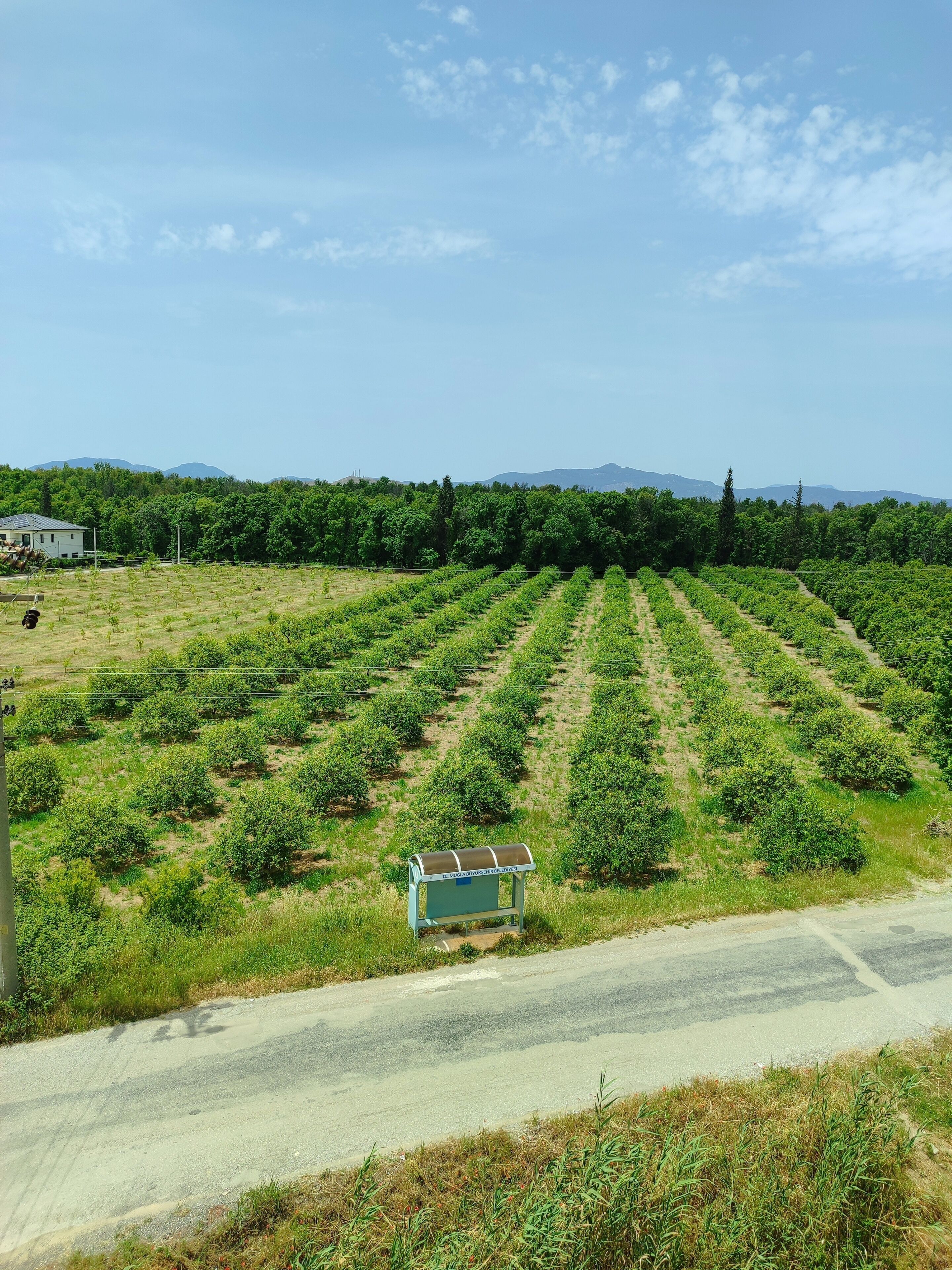 Foto - The Dalaman Suites & Pansiyon Dalaman Airport 10 km
