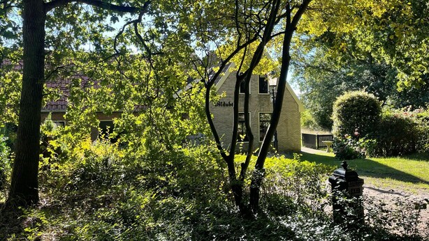 Ein Haus, umgeben von üppigem Grün und Bäumen.