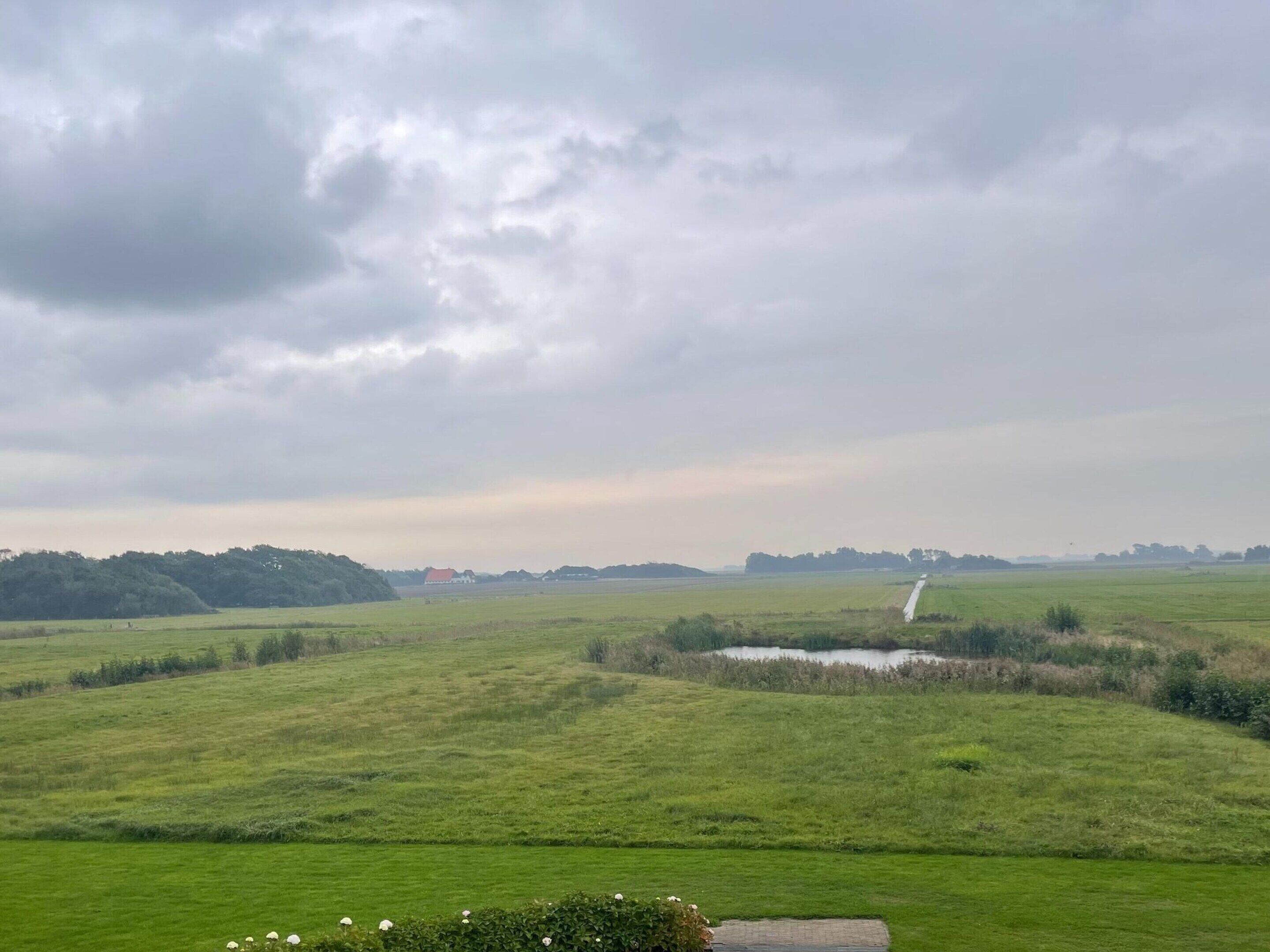 A rural landscape with a field, a small body of water, and a distant building.