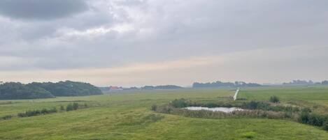 A rural landscape with a field, a small body of water, and a distant building.