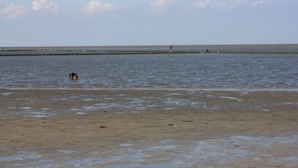 A beach with a sandy shore and calm water. - Holiday Apartment Cabin 2c (Norden)