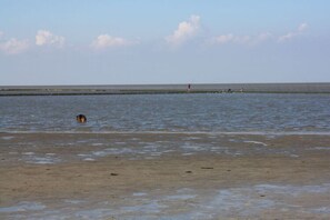 Beach - Holiday Apartment Cabin 2c (Norden)