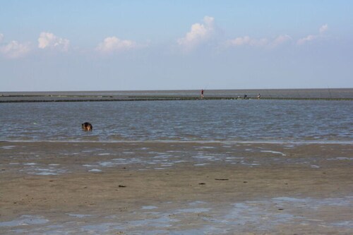 Holiday Apartment Cabin 2c