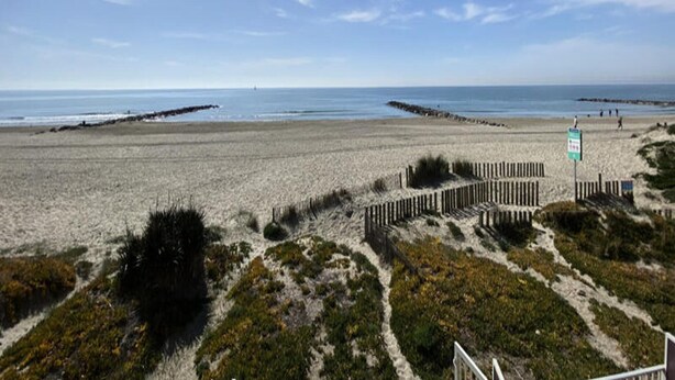 A beach with a wooden fence, grassy dunes, and a clear sky.