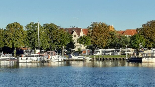 A marina with boats docked, surrounded by trees and residential buildings.