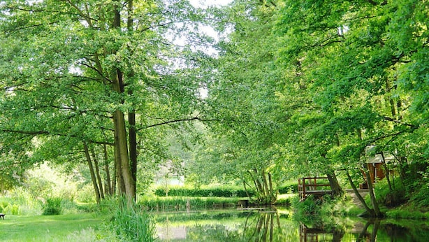 Un estany tranquil envoltat de vegetació abundant i arbres, amb un pont de fusta que travessa l'aigua.
