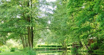 "heidi" Modern Retreat