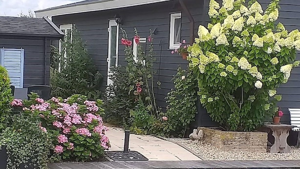 A house with a garden, a pond with lily pads, and a variety of flowers. - Canal-side Stay, Giethoorn (Giethoorn)