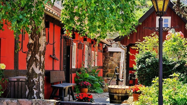 House | Property grounds