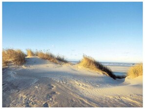 On the beach - Reethuus Nord Modern Retreat (Juist)