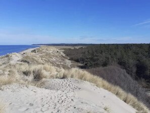 A coastal landscape with sandy dunes and dense forest. - 4 Star Holiday Home in Melby (Melby)