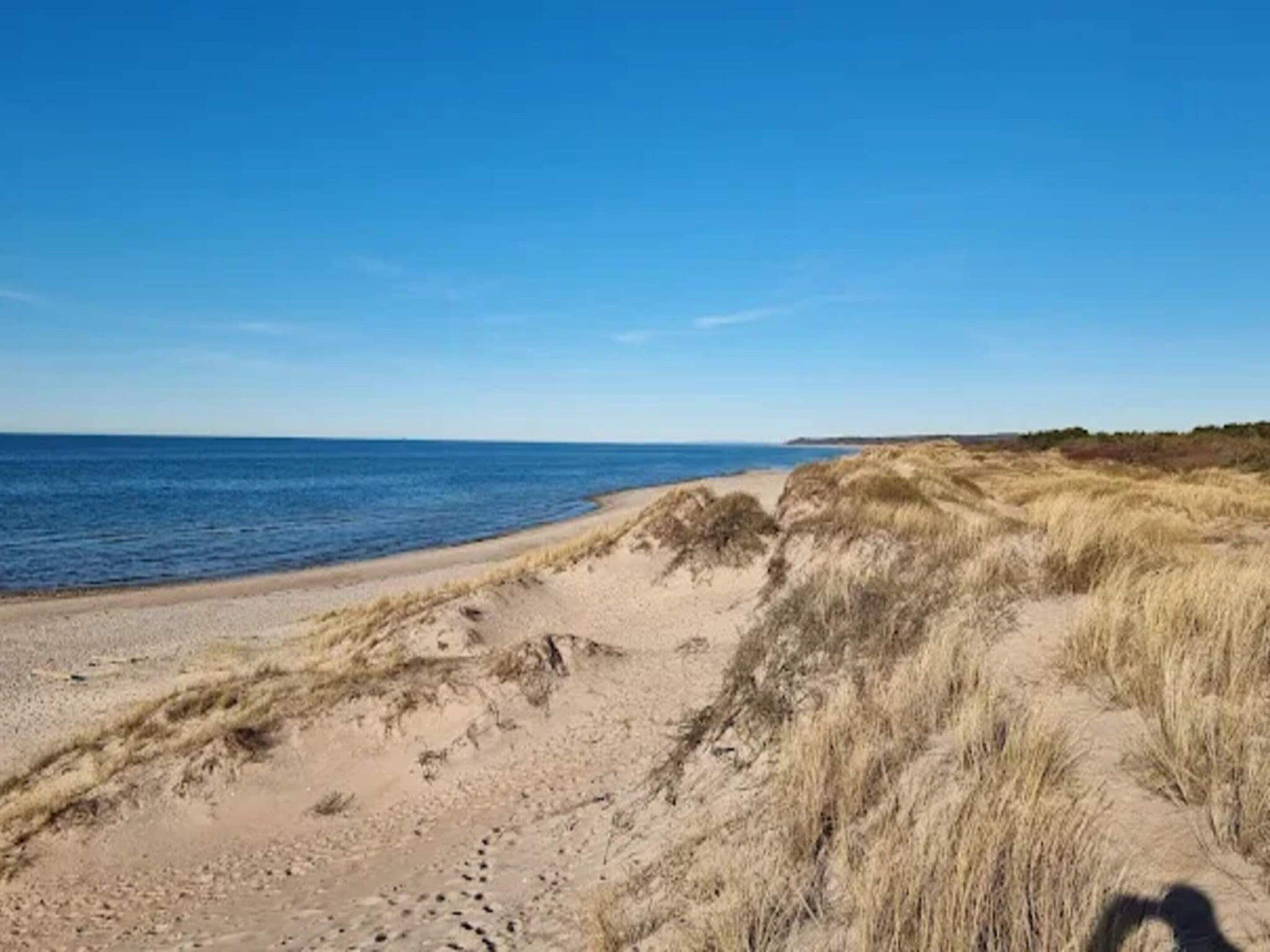 Een zandstrand met duinen en een helderblauwe lucht.
