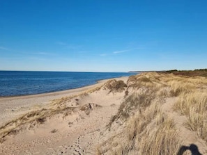 A sandy beach with dunes and a clear blue sky. - 4 Star Holiday Home in Melby (Melby)