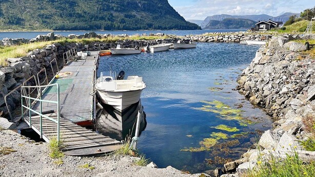 Un muelle con barcos, una costa rocosa y una montaña al fondo.