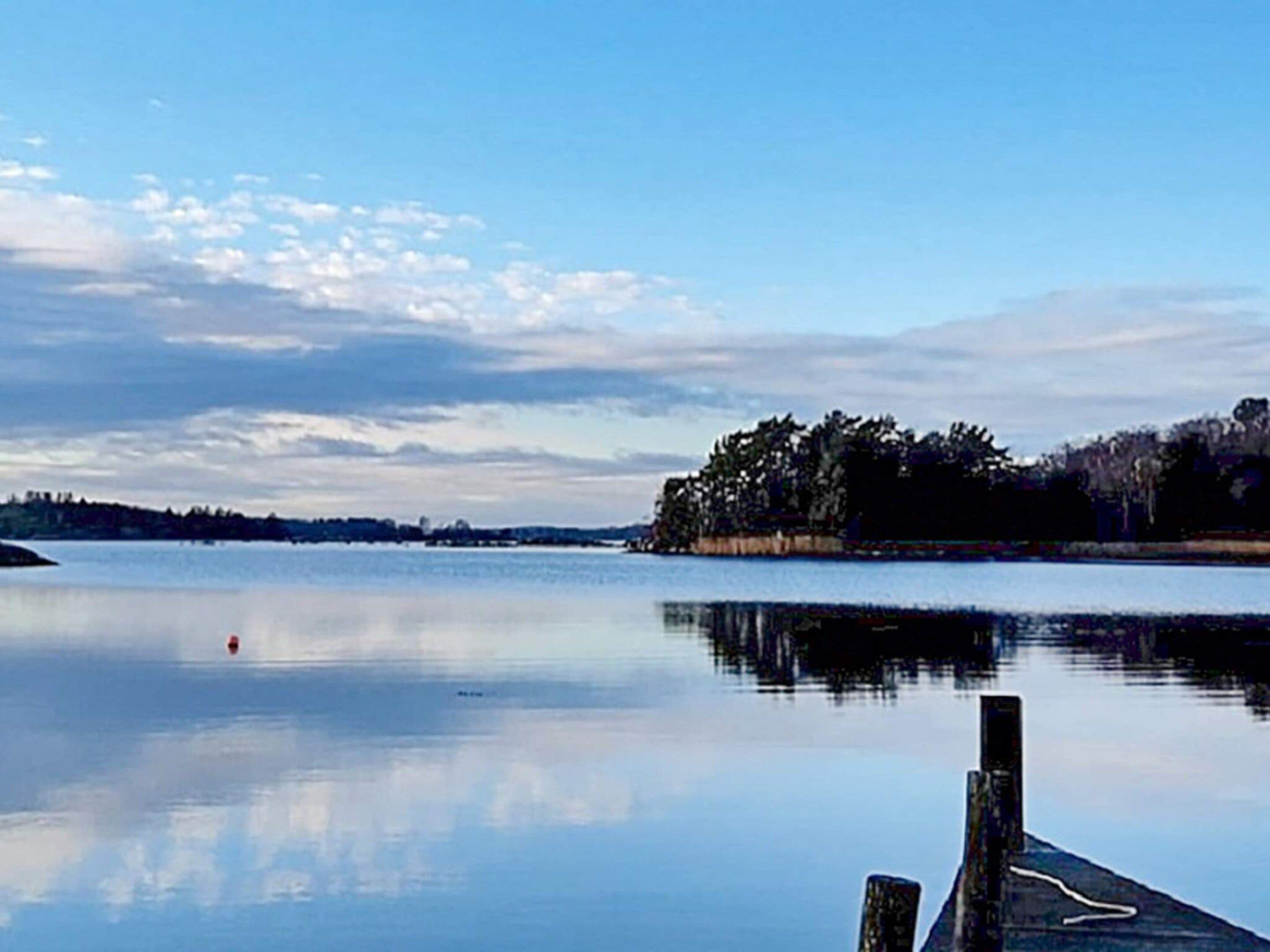 A calm lake with a dock extending into the water, surrounded by trees and a clear sky.